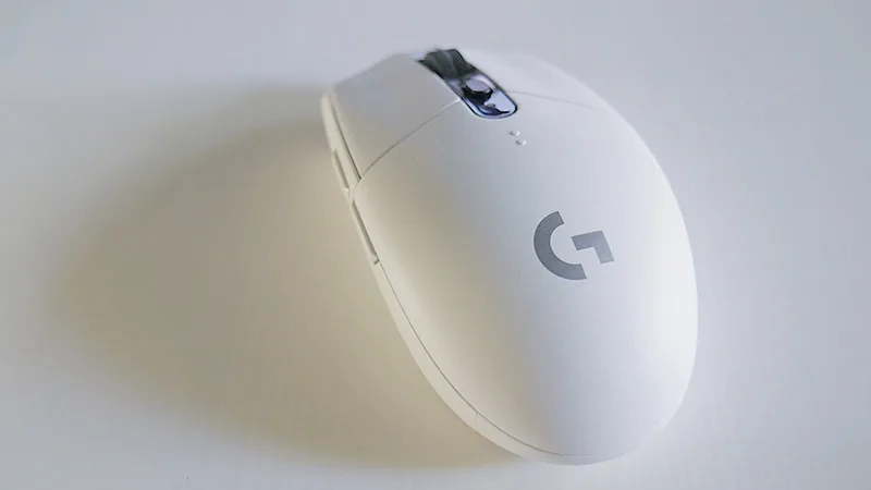 image shows paw mouse